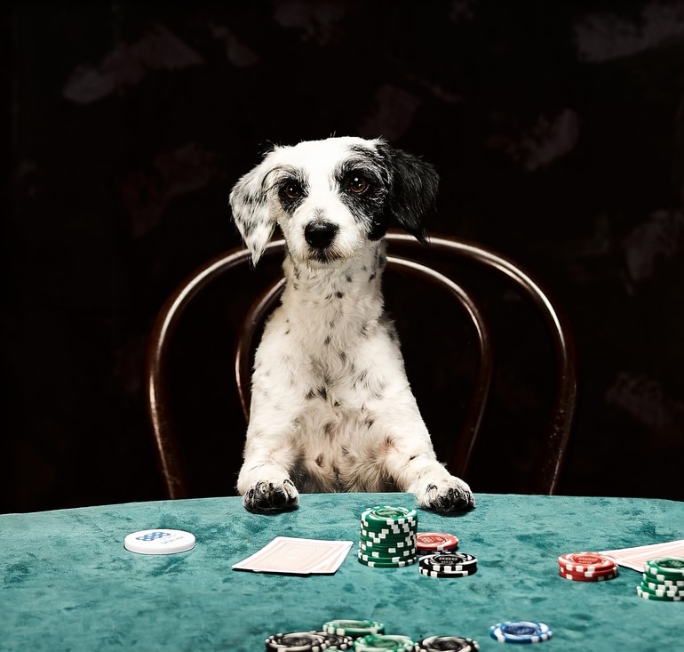 dogs playing poker figurine